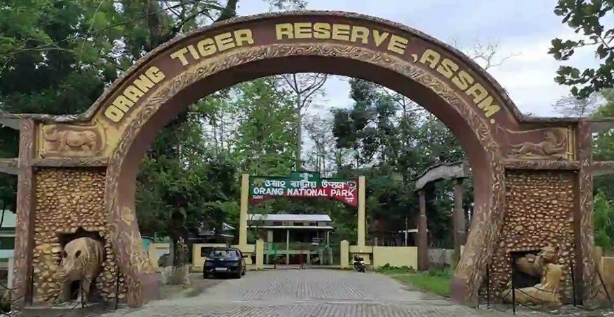 Orang National Park, Darrang, Assam - Vushii.com Orang National Park, Darrang, Assam - Vushii.com